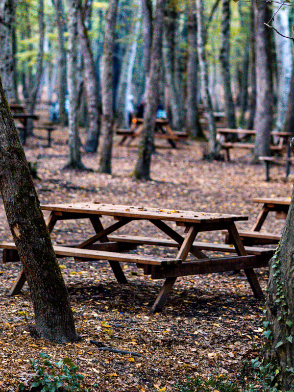 parco-ronza